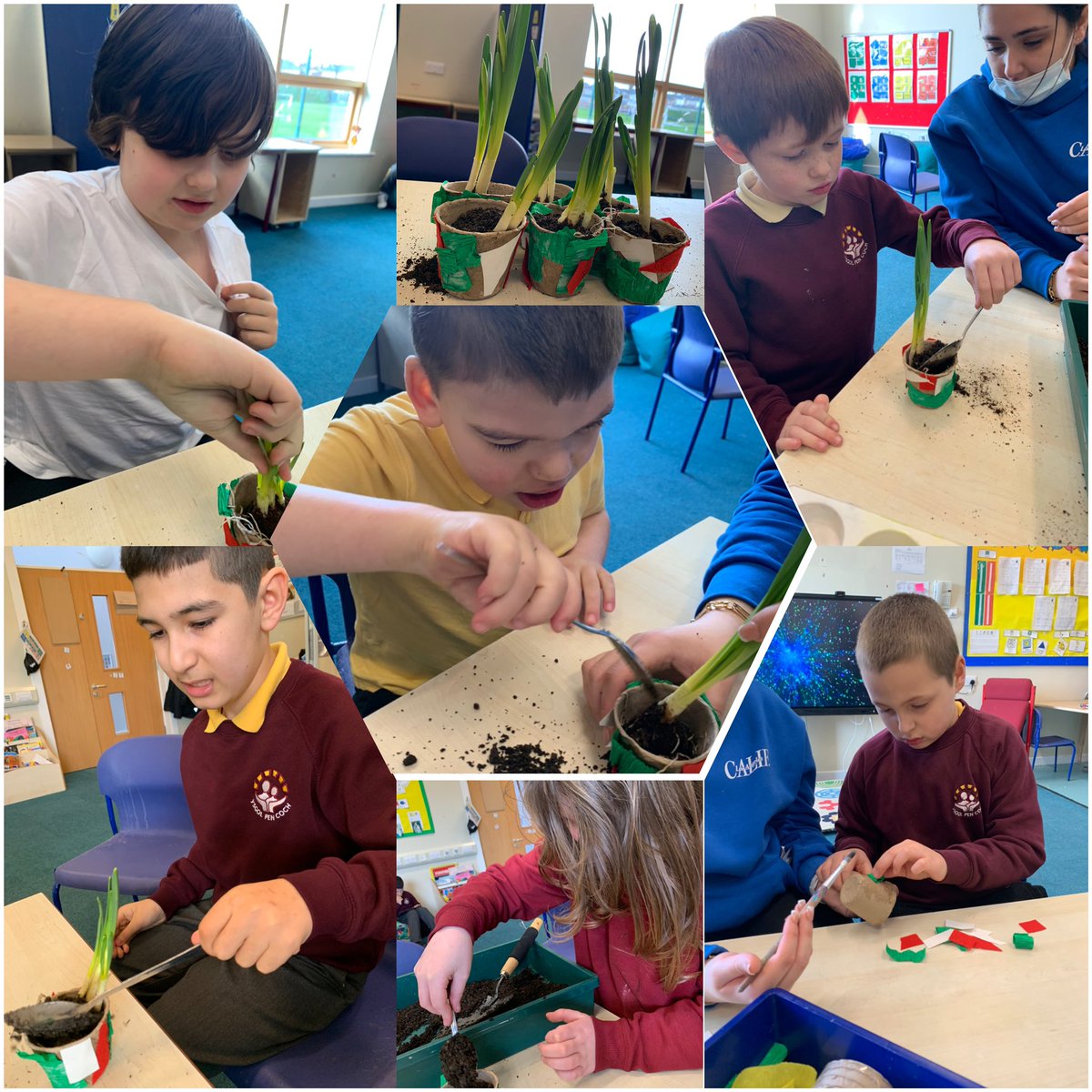 YsgolPenCoch's tweet photo. We have all had a lovely time  celebrating Welsh week🏴󠁧󠁢󠁷󠁬󠁳󠁿#ospreysclass https://t.co/9VlG6HqVW2