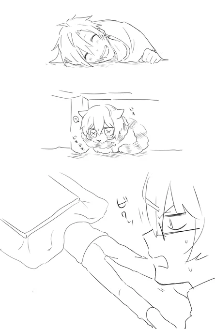 ※猫実録 