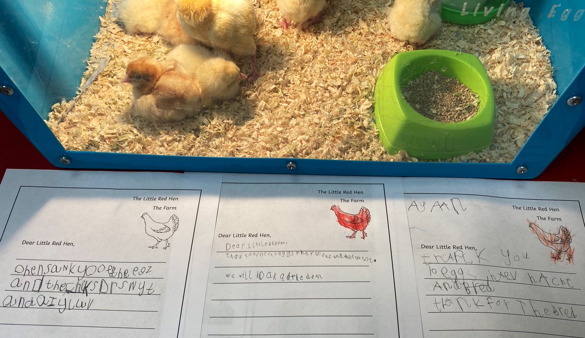 MissKingTindal's tweet photo. π£ All ten of our eggs have hatched @arktindal! π£
Weβve been writing our thank you letters to the Little Red Hen for such a lovely surprise! π
@Talk4Writing @Livingeggs
#TeamTindal #eyfs #spring #hookforlearning https://t.co/lo23mpfcEV
