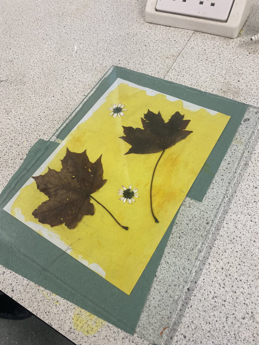 HolyroodScience's tweet photo. Science club were investigating how to use UV-reactive curcumin extracted from turmeric to create anthotype prints 🌱🌿☀️ #TECHOGNITION #technicianled #stem #anthotype #scienceclub #technicianledscience https://t.co/JTIUQY9bQA