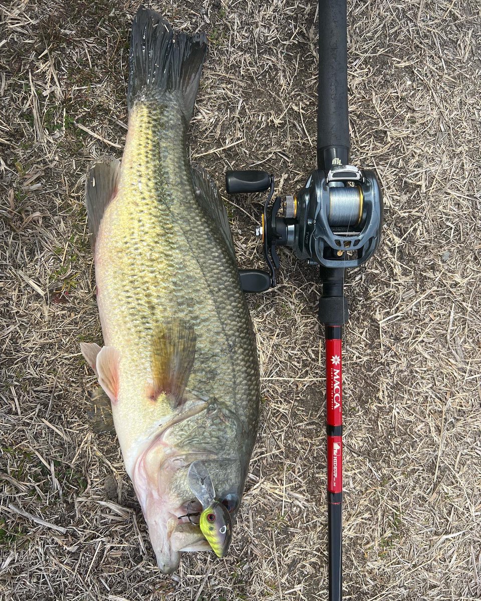 kujiyoshi_'s tweet photo. 10分だけ釣りしたら釣れてくれた。
HU150のテロ巻きからの最後のピックアップでリヤフック1本。
HUMRC-60MLGのグラスならではのフックアップかと。
春のクランキング開幕かな?
#HIDEUP
#ハイドアップ
#HU150
#グラスロッド
#旧吉野川水系
#徳島県
#バス釣り
#ほらほーでぇ
#ほらほーでぇ久次米 https://t.co/nIZ4Y2PzP5