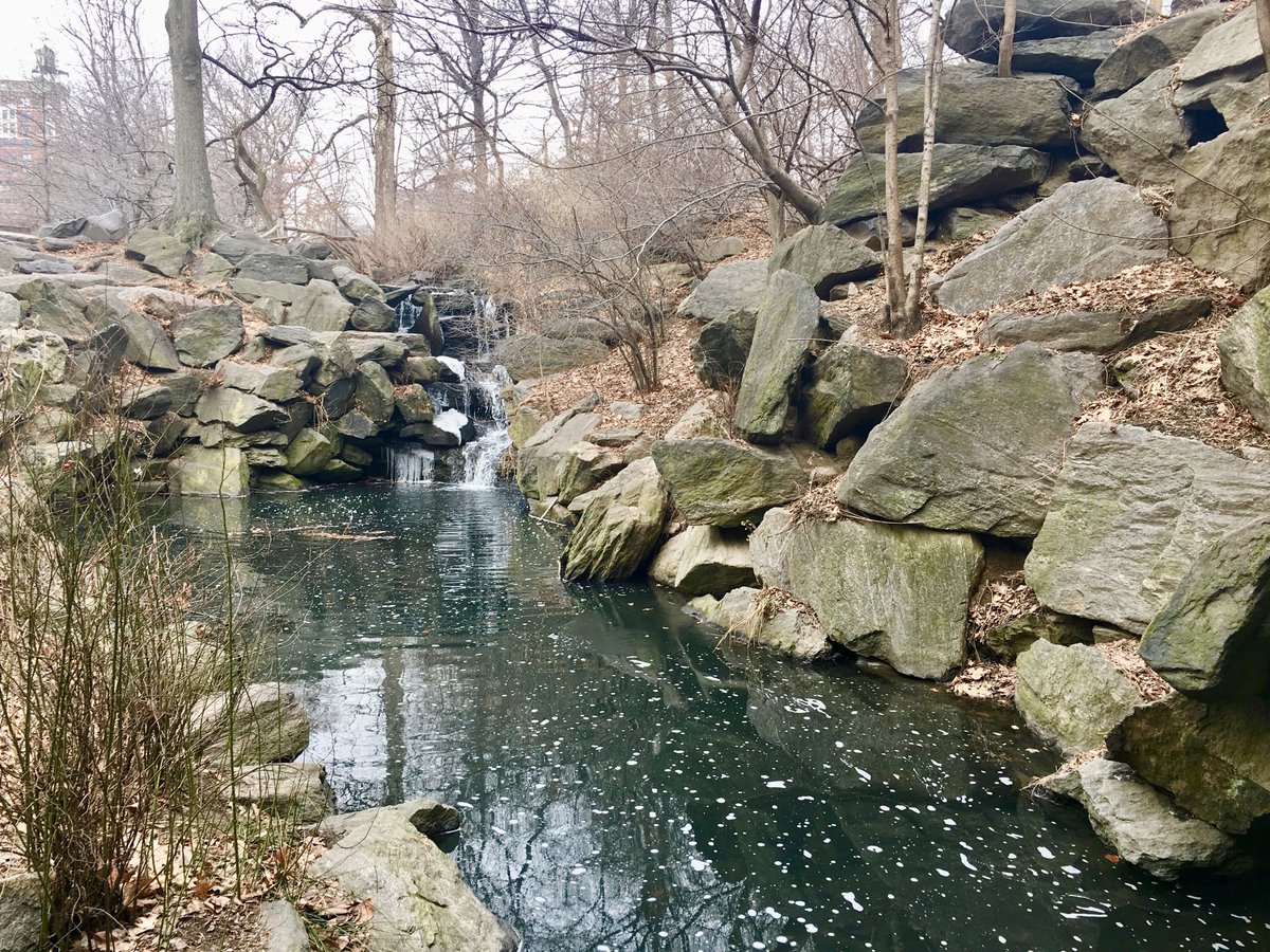 NYCRobyn's tweet photo. Happy #nationaldayofunplugging #getoutside #takeawalk listen to the sounds of nature. For me no better place to do this, is in mybackyard @CentralParkNYC @My_Cen_ParkNYC #supportyourpark https://t.co/2JwaV13R71
