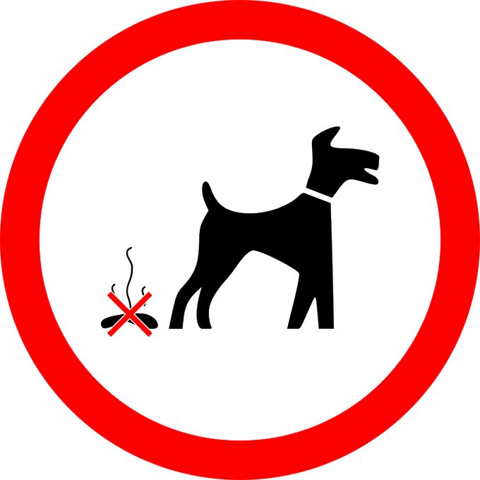 policiademadrid's tweet photo. El problema no es que tu #Perro🐩🐕  haga 💩... Es que tú no lo recojas! 
#RecogeSusCacas 
#Convivencia 
#Respeto https://t.co/pt0HwQliHB