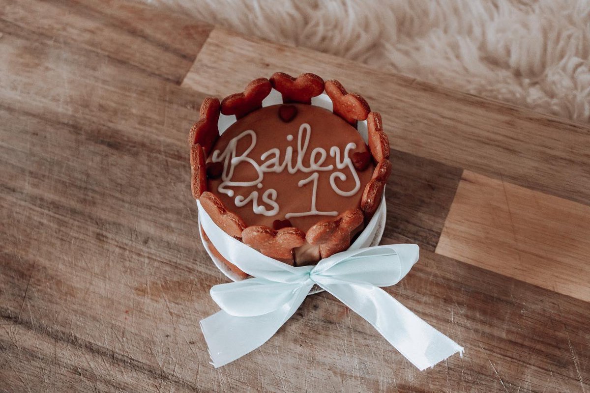 Bailey 🐾 tweet media