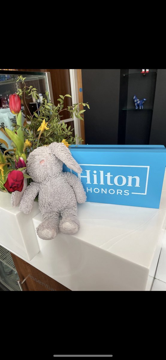 treasa_fagan's tweet photo. We returned home from Liverpool and realised Mr Bunny had been left behind in the hotel .. I cannot thank Ellie  @HamptonByHilton Liverpool City Centre enough. She took care of him and it seems he had lots of adventures in Liverpool. Gold star customer service award for Ellie ❤️ https://t.co/iVtXqepke6