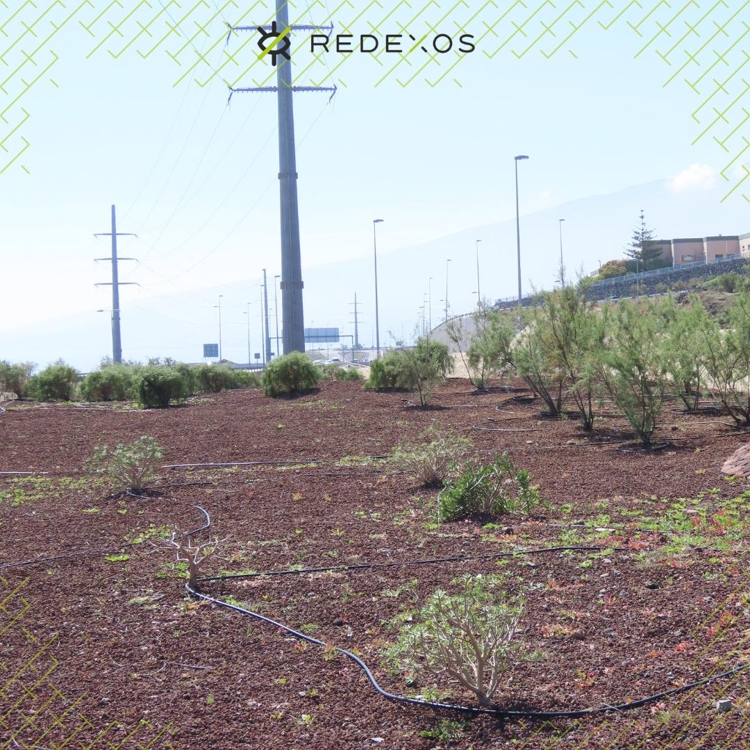 RedEXOSGobcan tweet picture