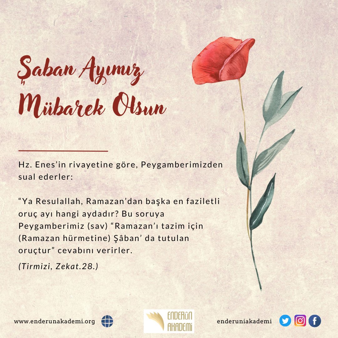 enderuniakademi's tweet photo. https://t.co/WQ1o8FvIlJ