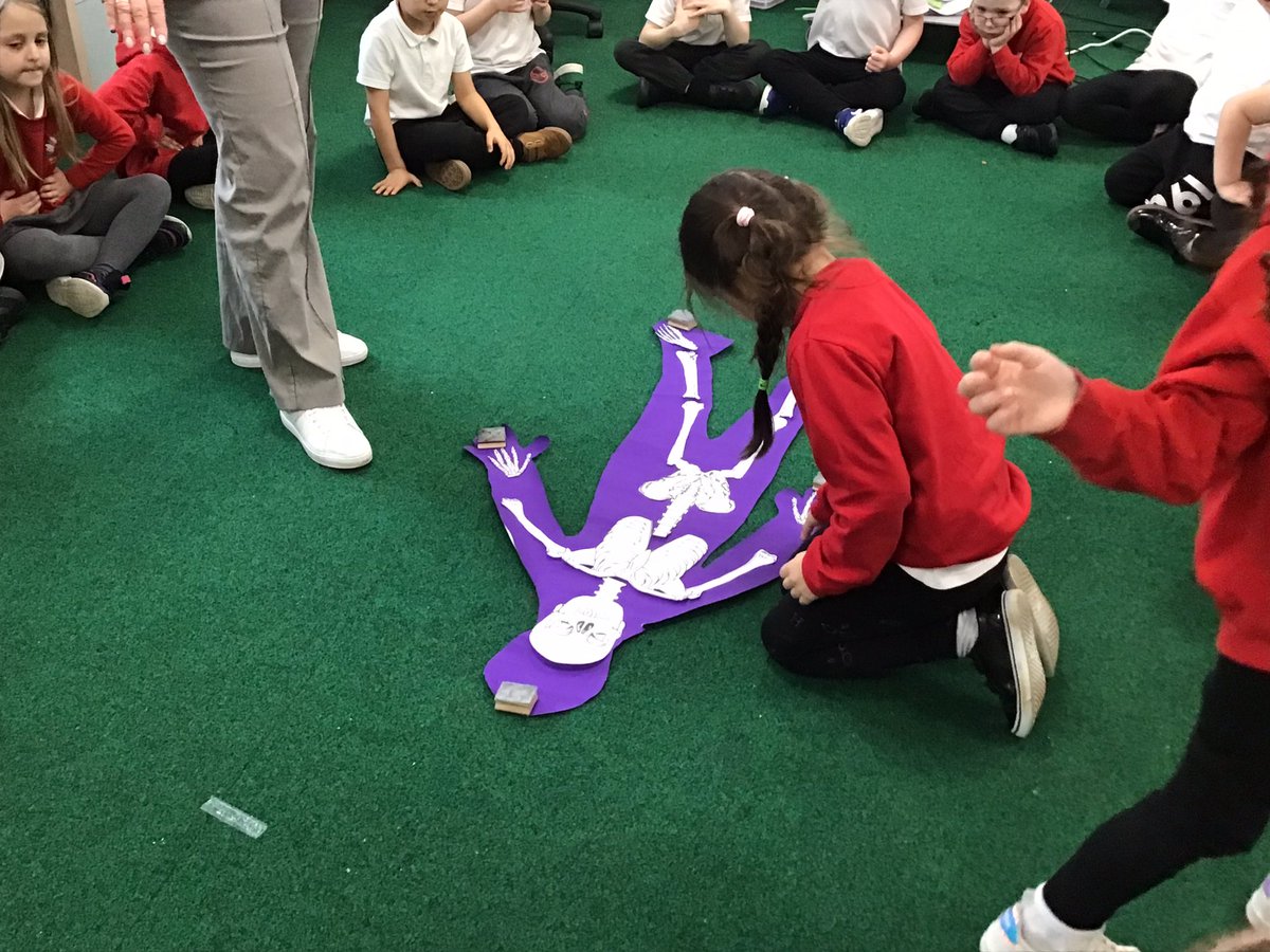 Y1RDPS's tweet photo. #RDPSY1 have been looking at the human skeleton. We used our collaboration super power and worked as a team to figure out which bones went where! #rdpsscience https://t.co/1CO0iI41JP