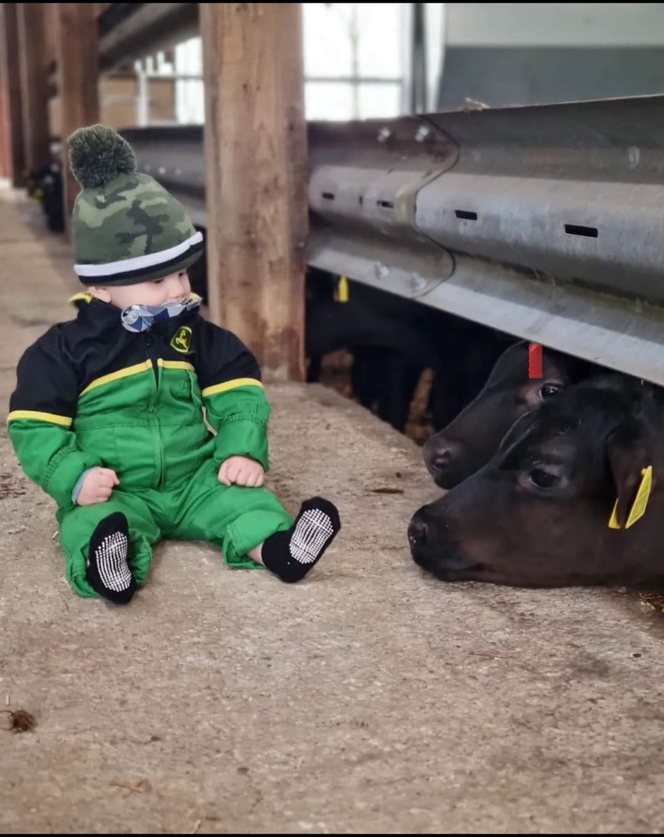 Dedicated calf rearers showing the next generation how its done! 

If your intresed in finding out more about working in part of this exciting supply chain we have an open day on the 10th of March in Shropshire. To find out more email info@blade-farming.com 
#gamechanger