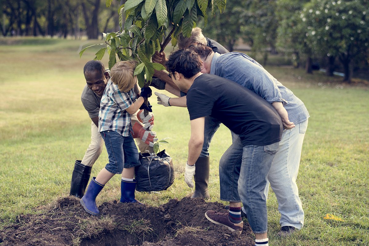 ncforestservice's tweet photo. Check with your local government about what’s happening in your community for #NCArborDay2022. Attend an event. Plant a tree. This year, North Carolina Arbor Day is March 18. #RightTree #RightPlace https://t.co/pEmvT9sUTq