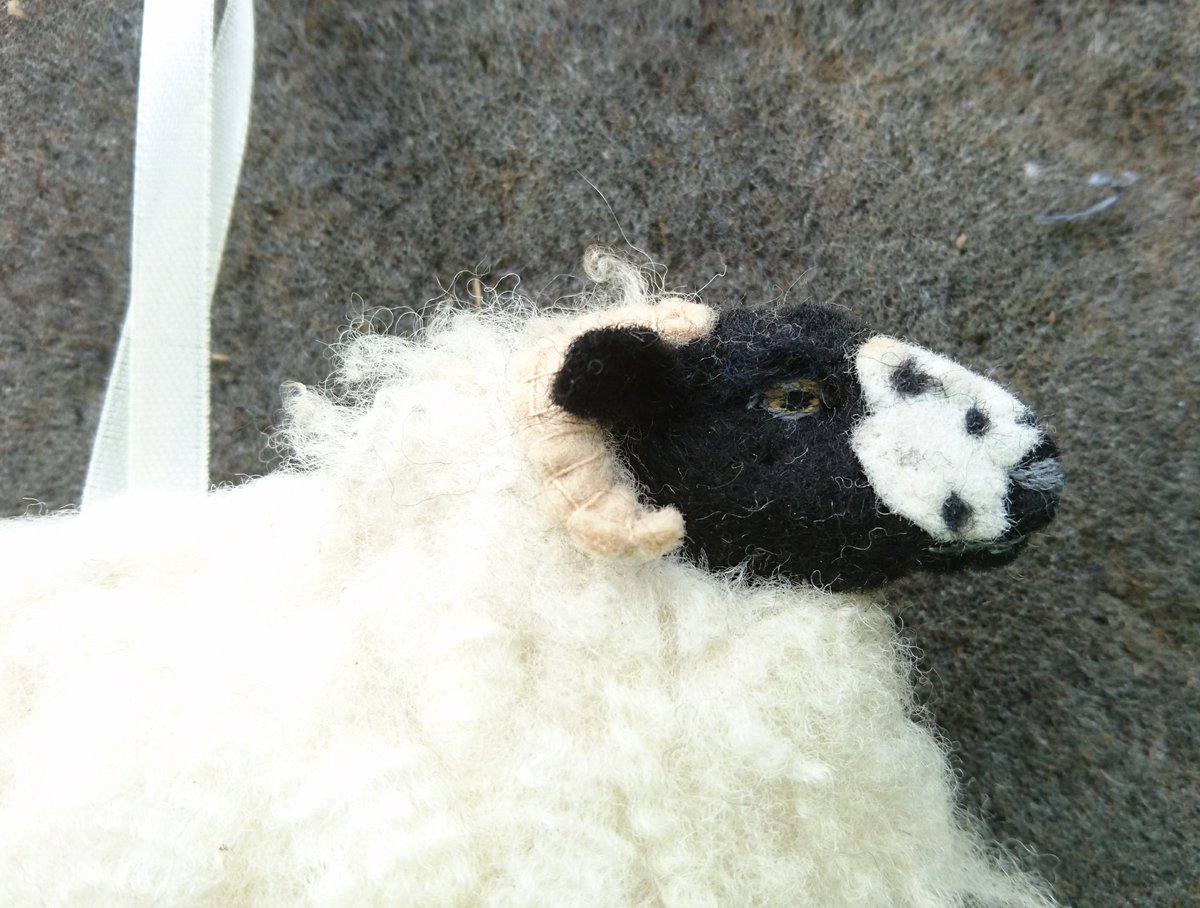 Just completed this pair, both native, British breeds; the #Herdwick and the #RoughFell