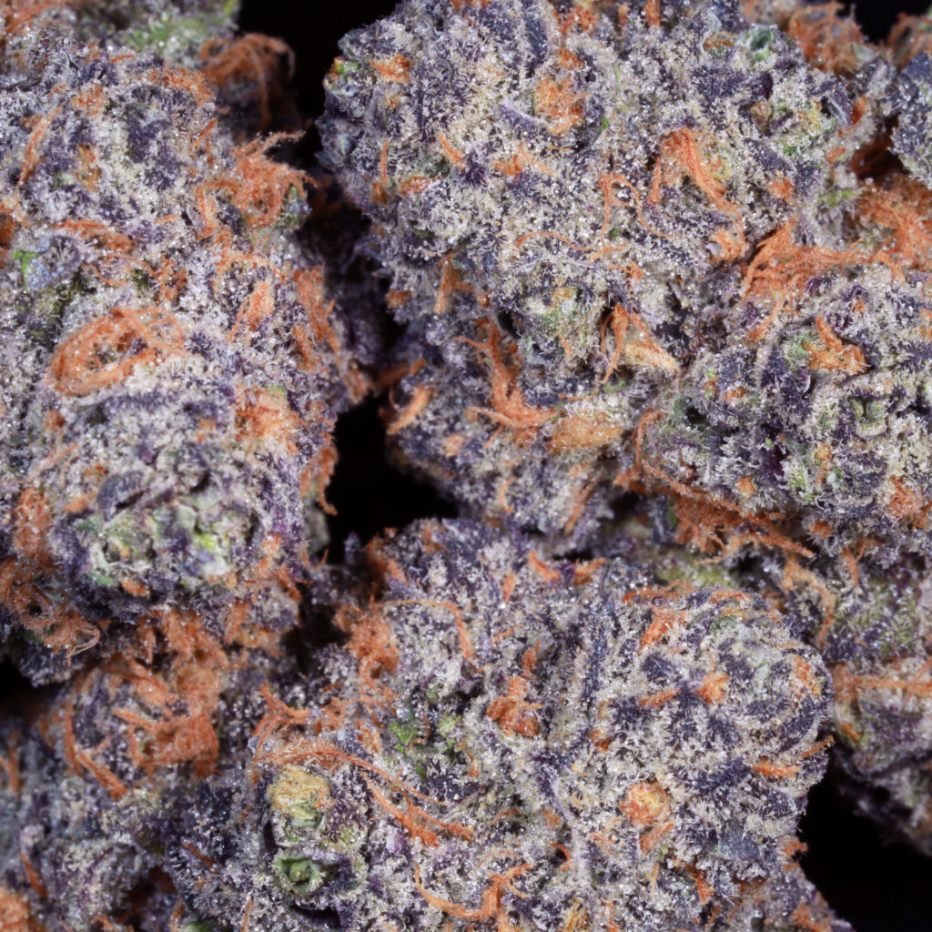 mancpluguk's tweet photo. Wickr - Mancitybud #manchester #salfordweed #salfordbud #mancbuds  #oldtraffordweed #stretfordbuds #ancoatsweed #mediacityweed #manchestercali #mancweed #salfordbuds #manchestersmoke #manchester420 #manchesterflake #chorltonweed #chorlton #ancoatsweed #mediacityweed #manchester https://t.co/yQRvzDM4MR