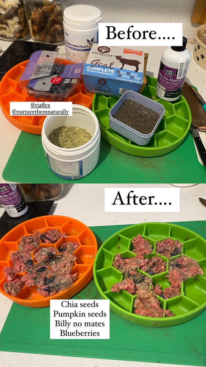 #breakfast goat today! 🤤 🐐 

#rawfeddogs #naturaldog #DogsofTwittter #twitterdogs #twitterdogcommunity