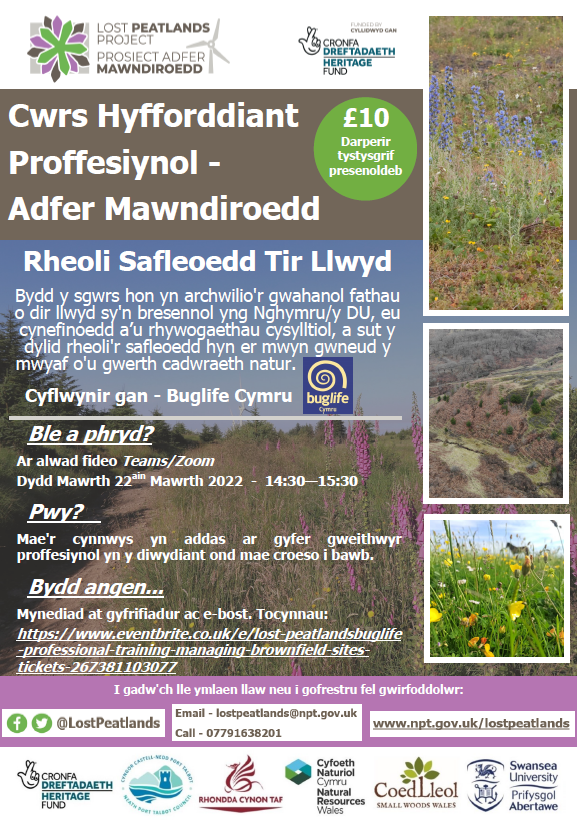 Lost Peatlands Project/Prosiect Adfer Mawndiroedd tweet media