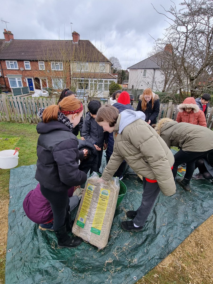 Goodall_Miss's tweet photo. 5DG helping out with the garden project. @UplandsManor https://t.co/2hYoN9HK1S
