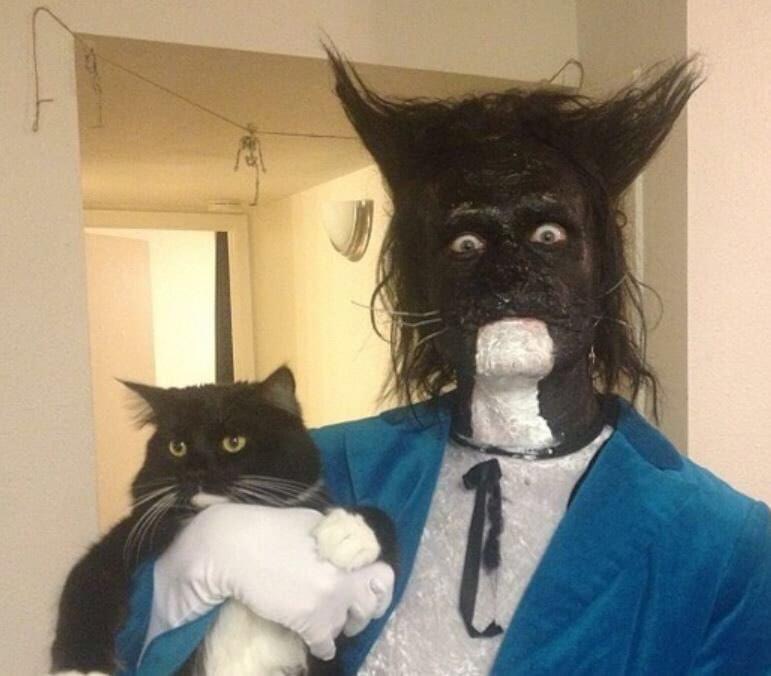Кот дебил