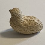 幾度となく食べてきた落花生。完璧な鳥の形の落花生に出会う!