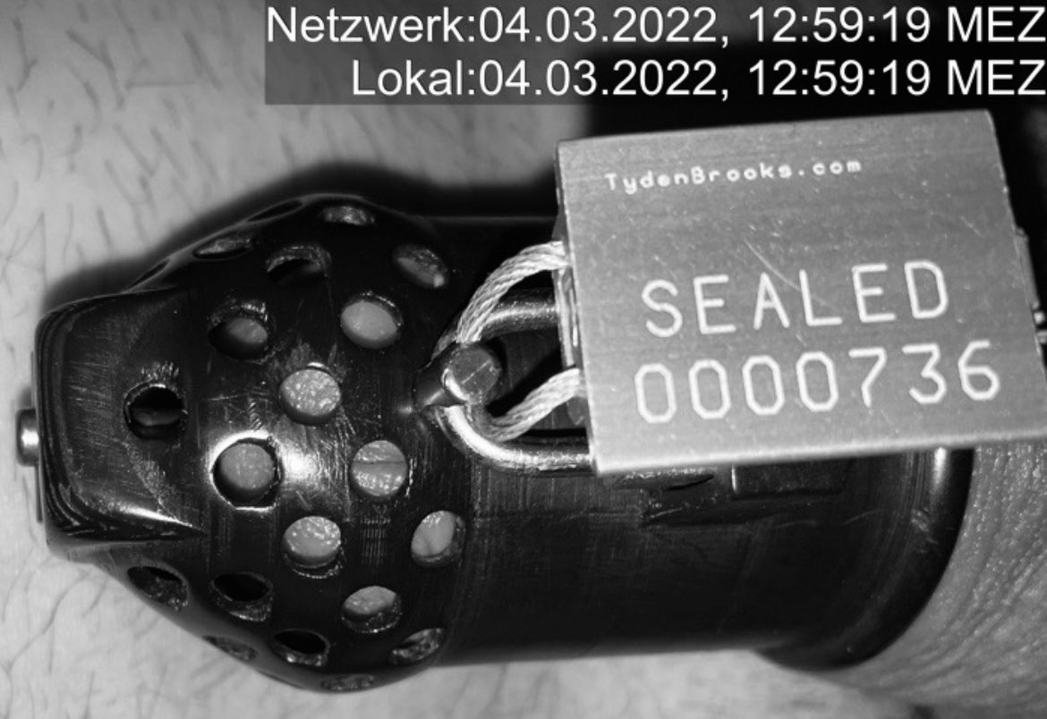 GentleChastity's tweet photo. Noch immer horny, noch immer verschlossen, noch immer #seal736, 2hidden Updates am Timer vom Bot und noch immer ist der Timer ausgeblendet und kein Ende in Sicht 🙈
#chastity #kinky #switch #lookingForKeyholder #lookingForLove #Single #Muenchen https://t.co/eYAYgrBadT