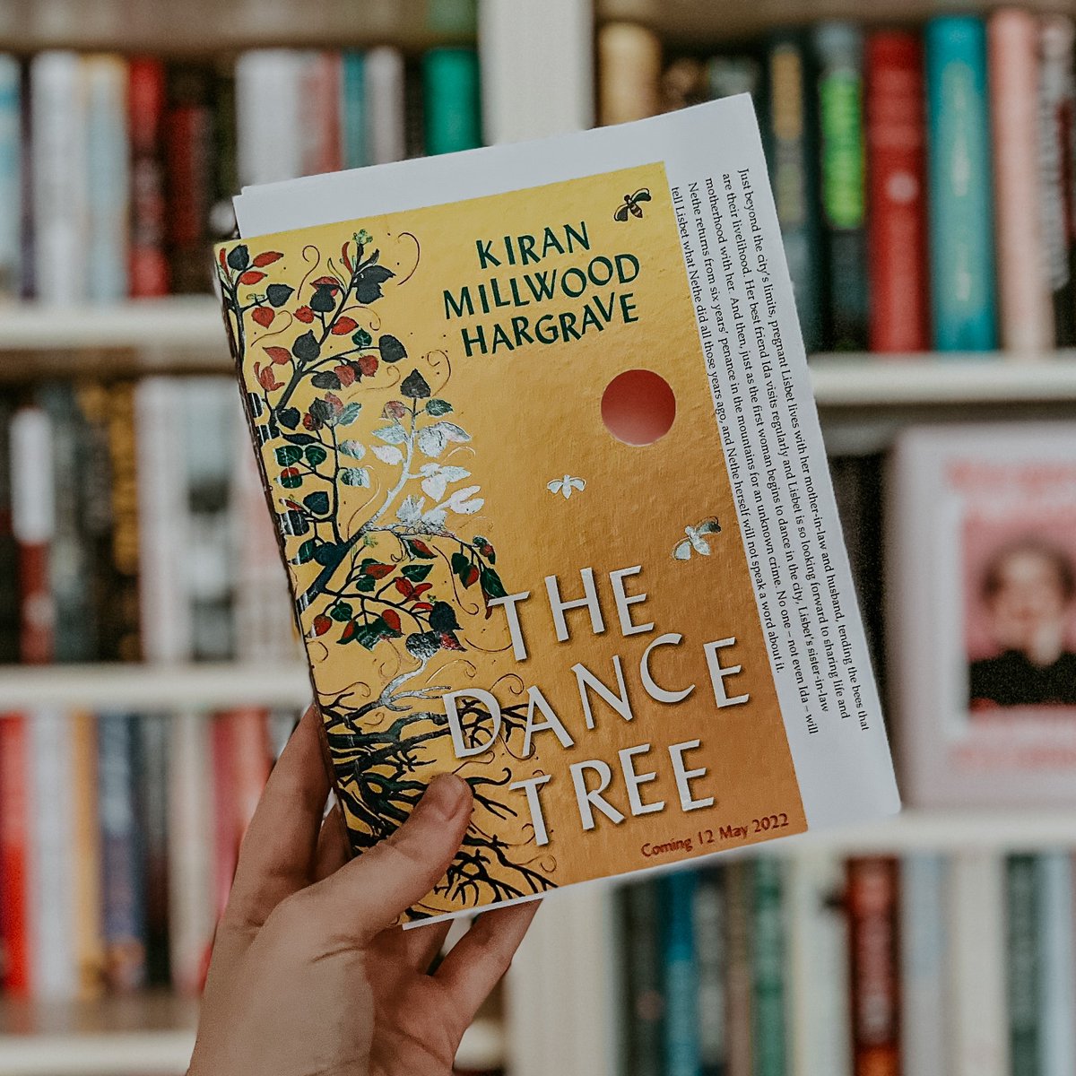 Thank you @hopeisreading / @picadorbooks for my stunning copy of #TheDanceTree by @Kiran_MH - as a lover of The Mercies I can’t wait to read this one! 😍