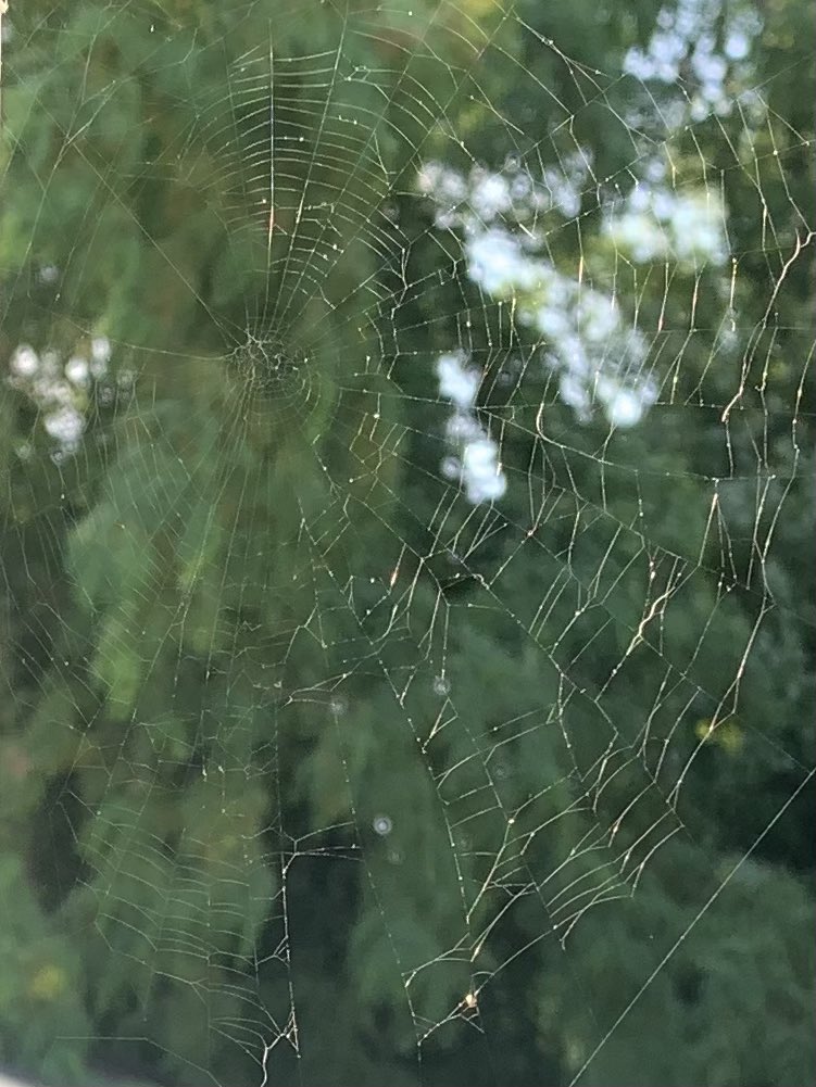 Classical Trax tweet media