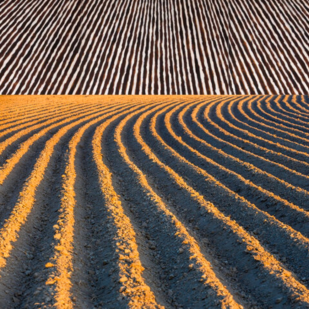 hormdesign's tweet photo. Leon Wood was born in 2002. A sideboard inspired by “Ploughed Fields”, a work by Leon Tarasewicz, exhibited at the Venice Bienniale in 2001. Art beyond design. https://t.co/ZIp1rZMi2b https://t.co/3cF7wQo2SF
