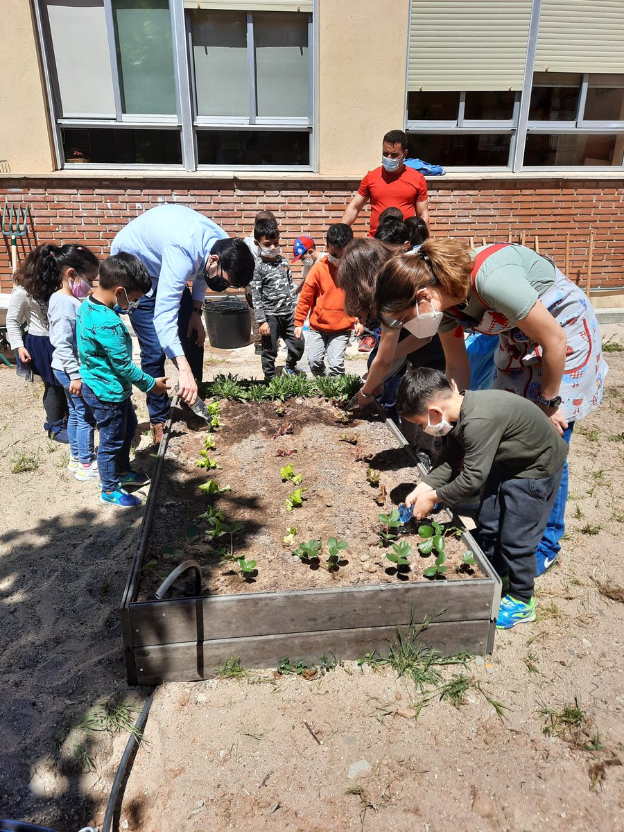 ener_user's tweet photo. Escolares del CEIP Cristóbal Colón de #Valladolid disfrutando del huerto creado a través del proyecto @ener_user . 
El huerto escolar además de contribuir a la mejora de la calidad del aire también permite promocionar la #agriculturaurbana.
@poctep  #calidaddelaire https://t.co/xygtT8xH7l