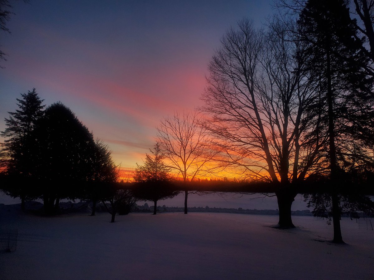 yooperforestry's tweet image. Good morning from @MSUAgBio Forestry Innovation Center in the UP. Great start to the day!
