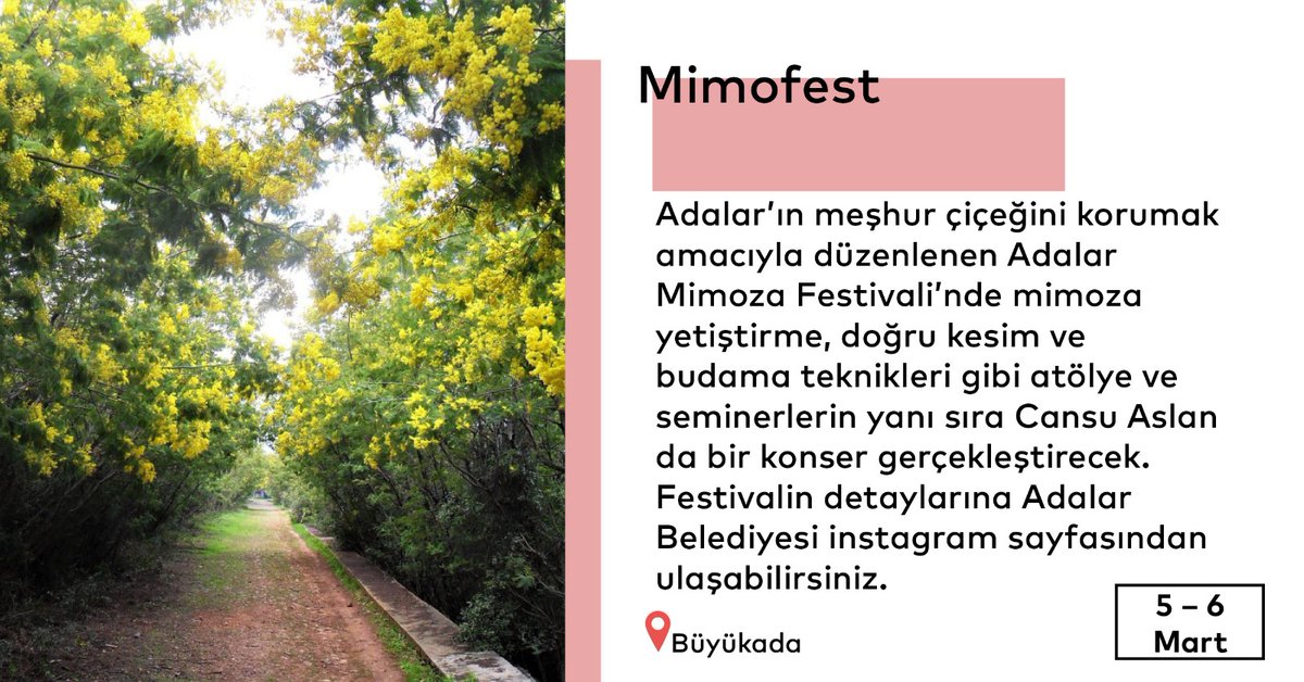 ibb_kultur's tweet photo. #ibb #ibbkültürsanat #istanbuldabuhaftasonu #tiyatro #sinema #müzik #konser #dans #mimoza #büyükada #mimofest @adalarbld https://t.co/taTd7ZV1xj