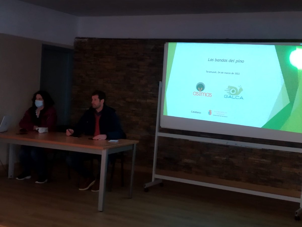 Asmadera_'s tweet photo. Hoy estamos en #Taramundi en la jornada "Las bandas del pino" 🌲 organizada por #ASYMAS donde Belén Reboreda nos expone la situación actual, control, selvicultura y prevención de esta enfermedad que ataca a los pinos de nuestra región https://t.co/AfLAjWVY1h