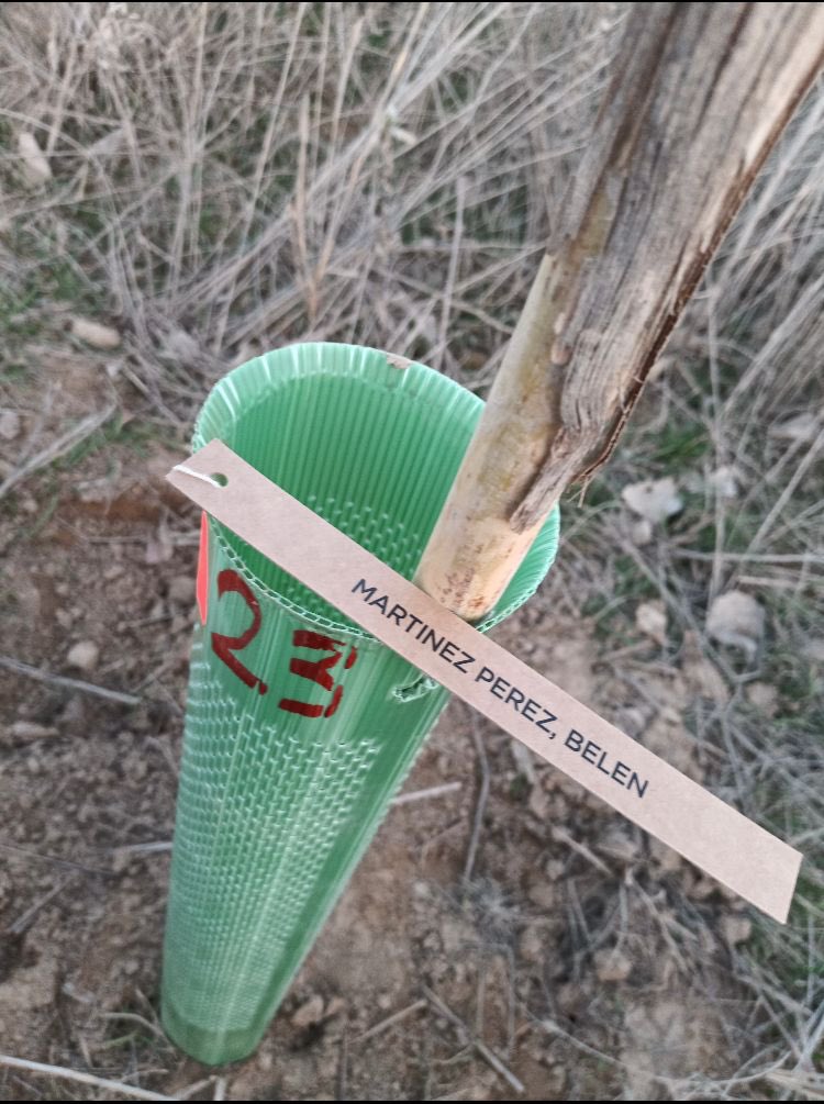 belenmartinezp's tweet photo. Ya tengo mi árbol!! Gracias @BoehringerES por estas iniciativas tan bonitas y sostenibles #LallaveSomosNosotros #BosqueBoehringerIngelheimES #VTIDay2021 https://t.co/ZBci5w50yn