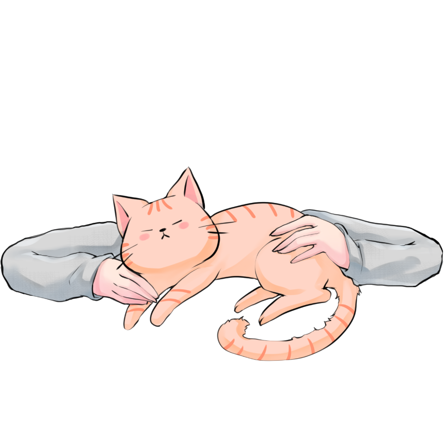 えりかわ Erikawa ᐢ ᐢ Stop War 猫 猫吸い フリー素材 Vtuber素材 猫が吸える素材を作りました 私 Erikawadesu をフォローで お使いいただけます Please Follow Me And Let S Enjoy Assets 加工 加筆やサムネ 配信やプライズの一部