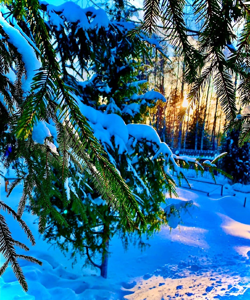 Красоты России tweet media