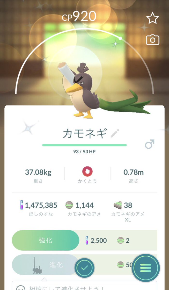 miyaguniPokemon's tweet photo. どこがどう色違いなんやろうか🤔 https://t.co/aY4rmPDXLZ
