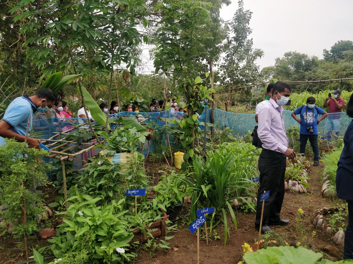 safbin_caritas's tweet photo. 5day SAFBIN Planning Workshop in Sri Lanka concludes today! The event focused on learning generated on smallfarmers' #resilience and #foodSecurity in South Asia &amp; way forward for the next phase of SAFBIN. We welcome #caritasSriLanka on board to work together for #future of SHFs https://t.co/Vrj2PYbAkv