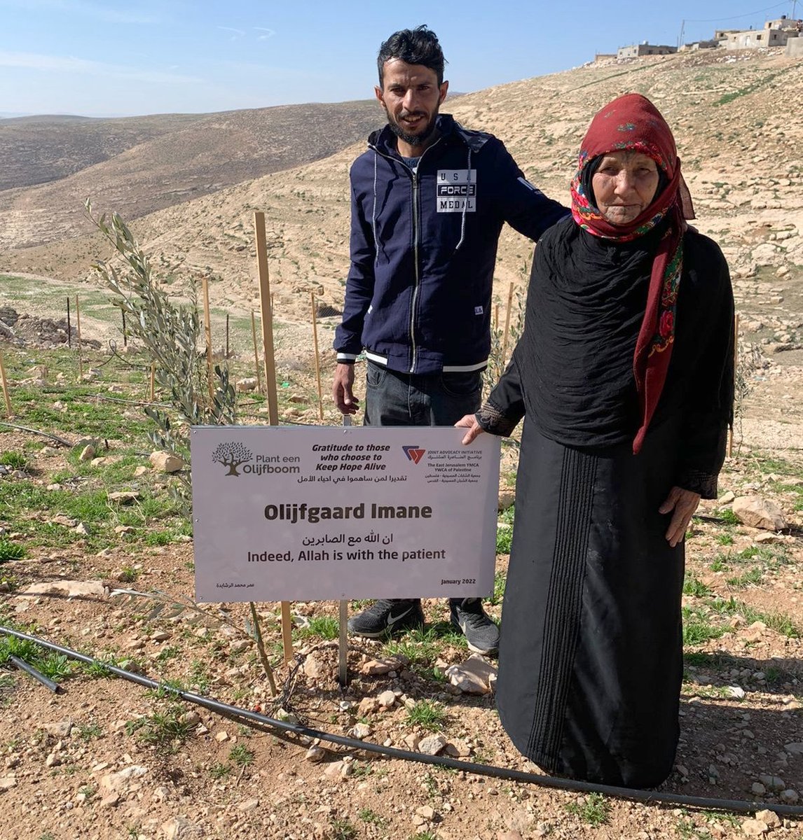 JAIPalestine's tweet photo. Some photos of plaques (with sponsors' gratitude) placement in fields of farmers supported with olive trees through the Olive Tree - Keep Hope Alive Campaign this season https://t.co/qdTSnruy7I