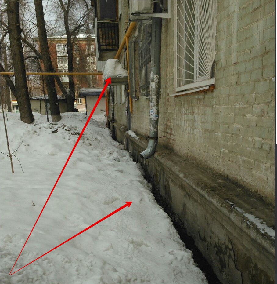 Андрей Петров tweet media