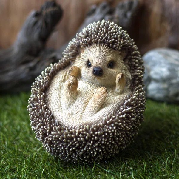 DayHedgehogs's tweet photo. https://t.co/rDP9MBW3YV
