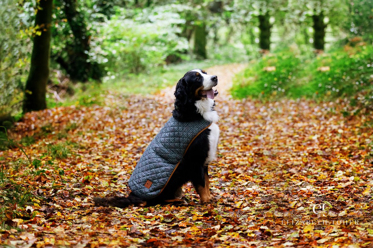 DervlaGolden's tweet photo. @PMc276 @BrodHiggins I love my new coat . Thank you @ashfordcastle https://t.co/hpESBFbYXH