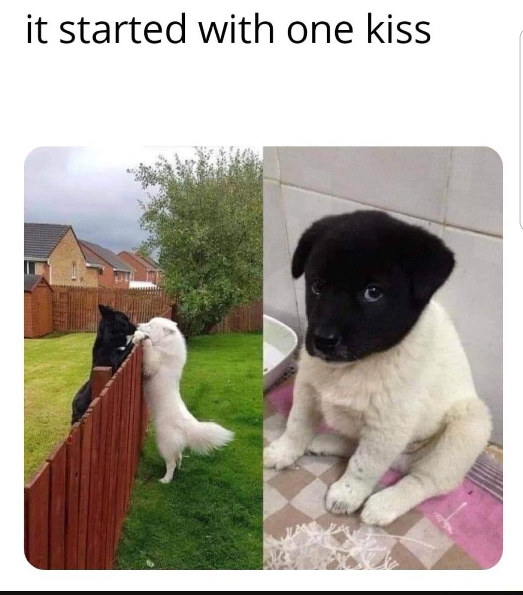 JackBro09986975's tweet image. 