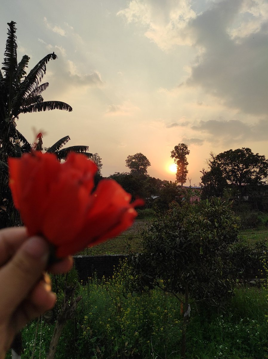 RityAdh's tweet photo. मावलमा❤️🌄 https://t.co/74BjfHUwiv