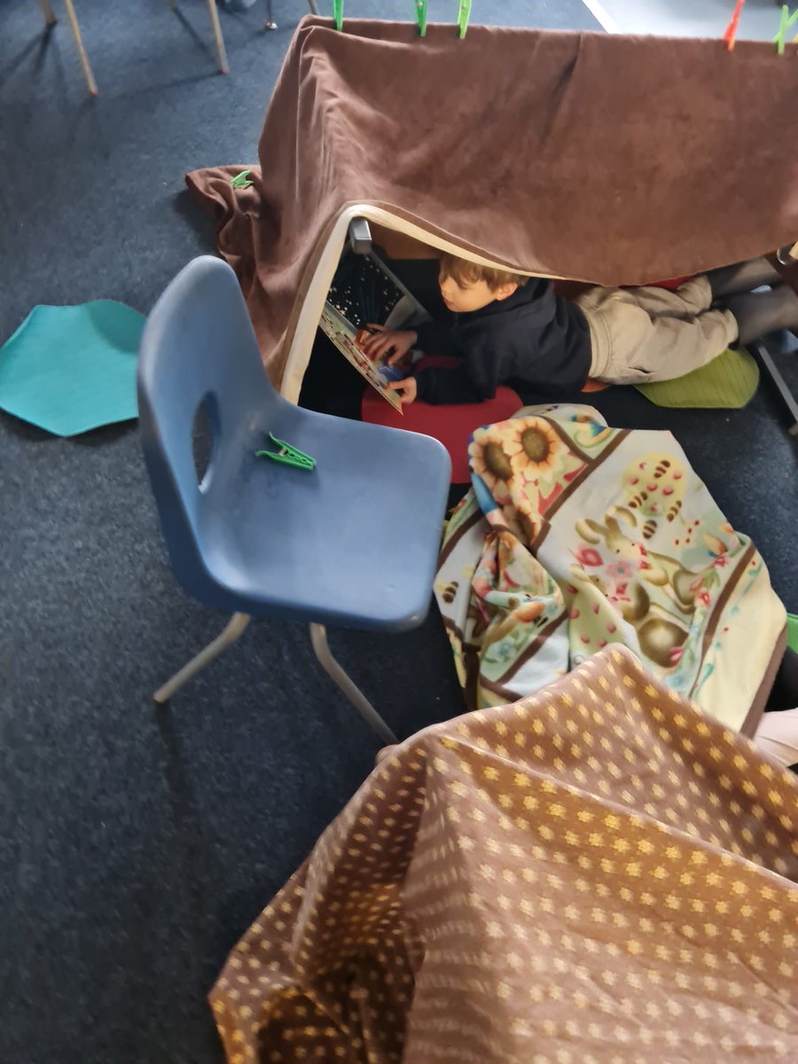 MissYoungDPS's tweet photo. Some of the children in P2 have been building reading dens to relax and enjoy their book Suzy Orbit Astronaut. They look amazing! #WorldBookDay @dedridgeps https://t.co/g3o5wlXWNz