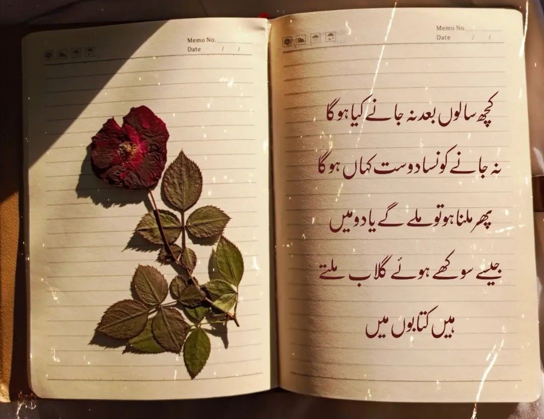 m_husnain280's tweet photo. https://t.co/fIpZ4sdqWq