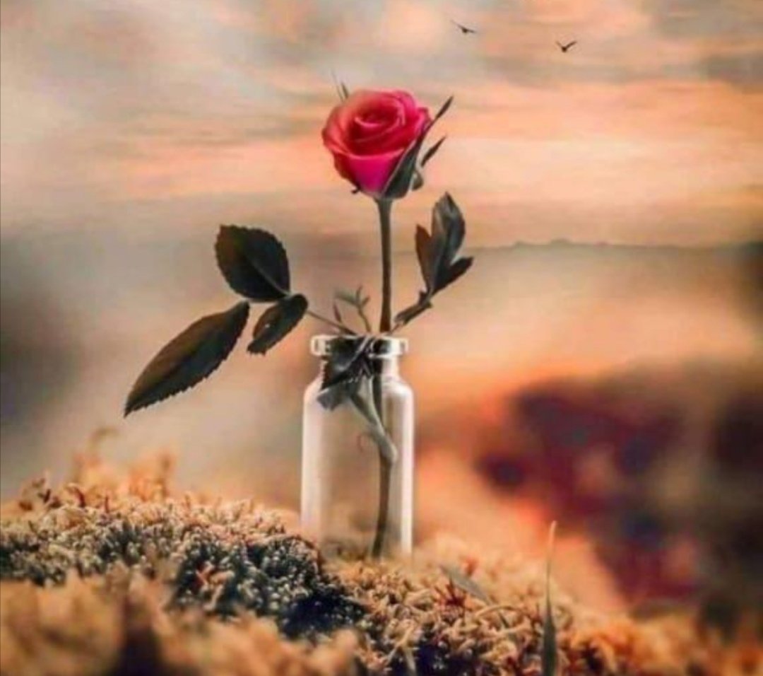 m_husnain280's tweet photo. شرافتوں کی یہاں_کوئی اہميت ہی نہیں 
کسی کا کچھ_نا_بگاڑو , تو کون ڈرتا ہے https://t.co/Zct1CcXcax