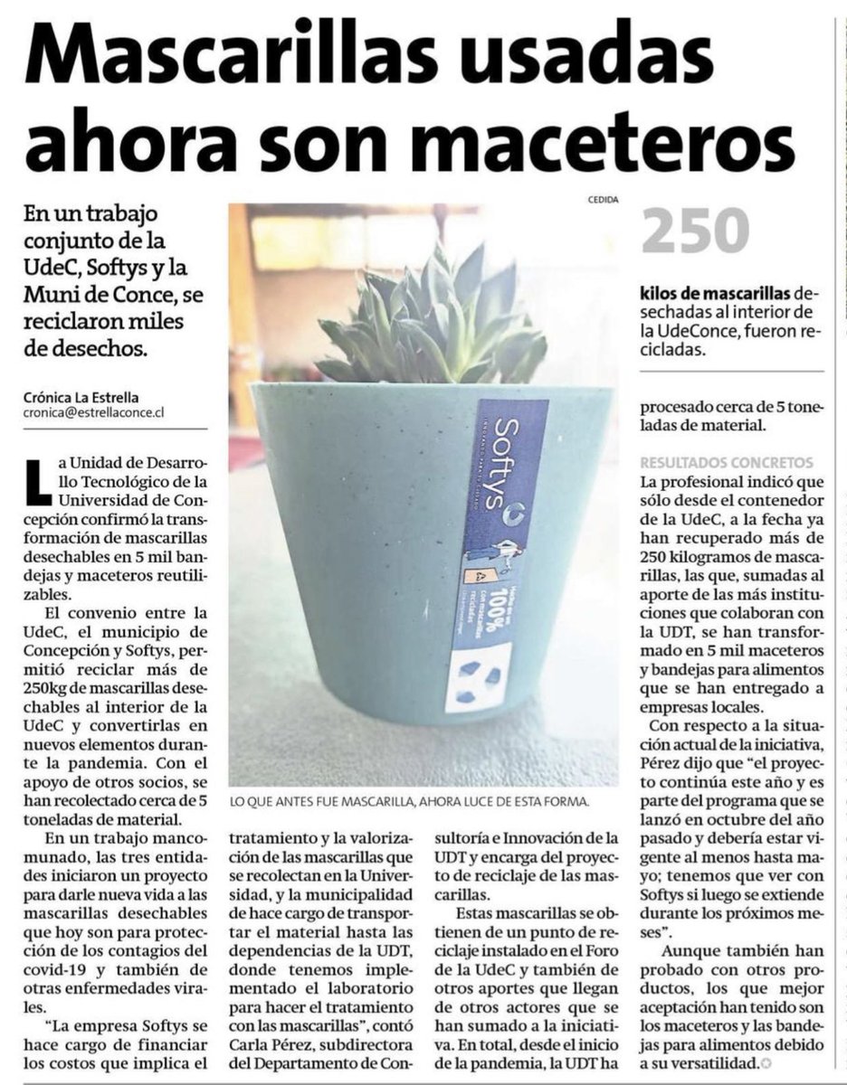 #PrensaUdeC: En un trabajo conjunto de la #UdeC, Softys y la Municipalidad de Concepción, se reciclaron miles de mascarillas, las que hoy son maceteros.

Jueves en La Estrella.