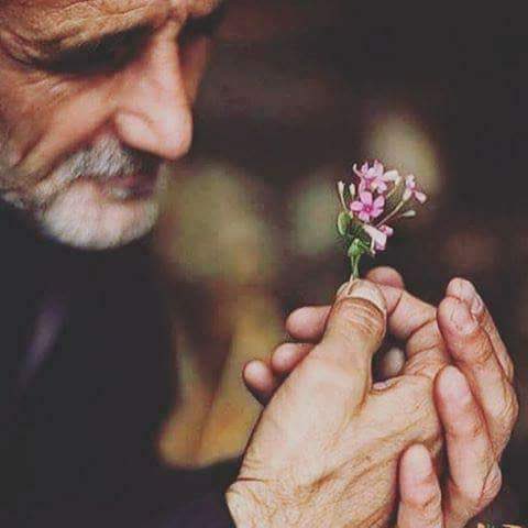 دللتك وابدا ما فاد
    طبعك أنت بس عناد🌼