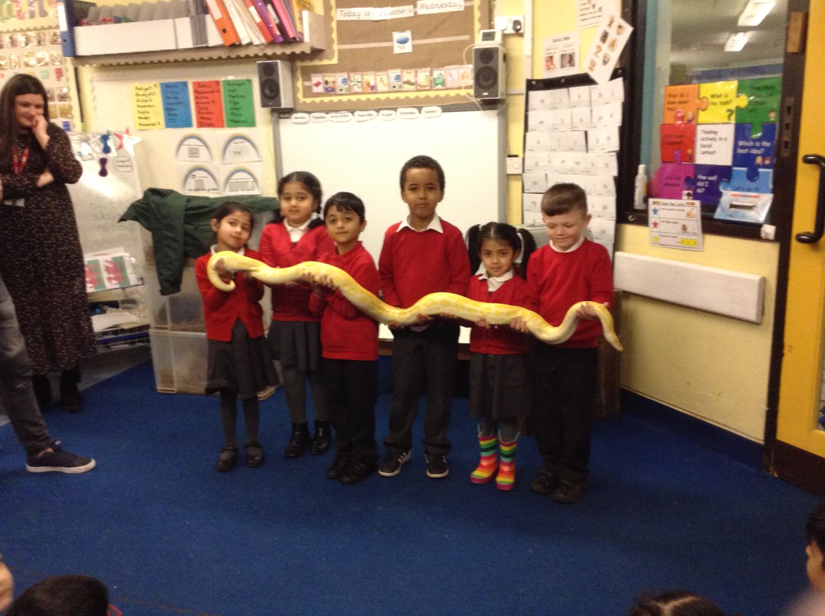 PillReception's tweet photo. Reception enjoyed the most amazing visit from Animals Interactive this week https://t.co/JX3l8FsfMg