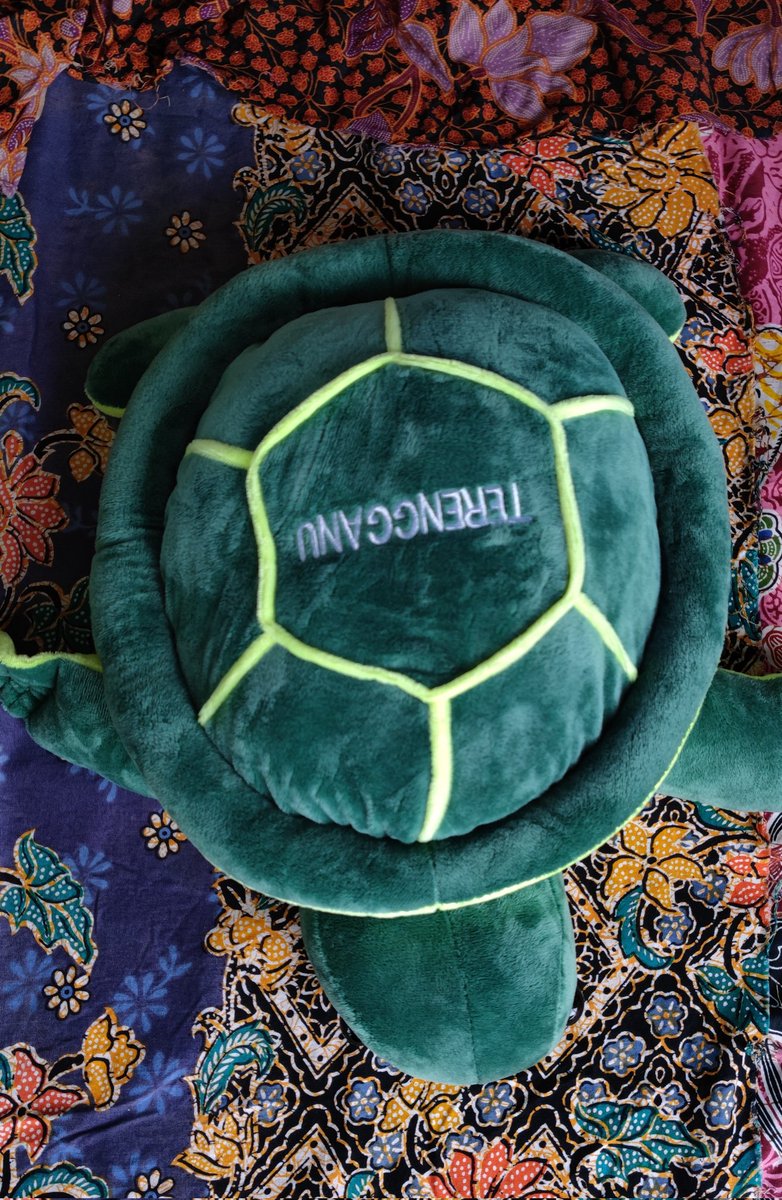 Haneyy__'s tweet photo. ✨QUICK GIVEAWAY✨
📍2 x winners will get this 🐢 from us
Rules :
🐢 RT this tweet
🐢 FOLLOW US @schibukaisyakir @Haneyy__
🐢 You're done, yeay! https://t.co/YcotSGhA1k
