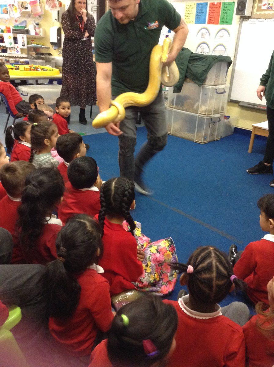 PillReception's tweet photo. Reception enjoyed the most amazing visit from Animals Interactive this week https://t.co/JX3l8FsfMg