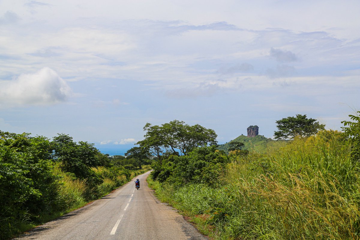 Bronibibini tweet media