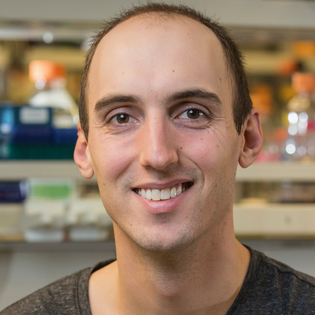 Zebrafish Rock! tweet media